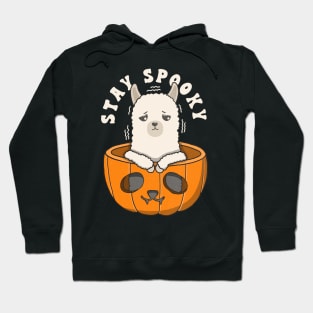 Cute Alpaca Stay Spooky Hoodie